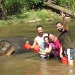 Bagno nel fiume con elefanti