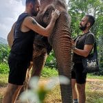 Tour etici elefanti Chiang Mai